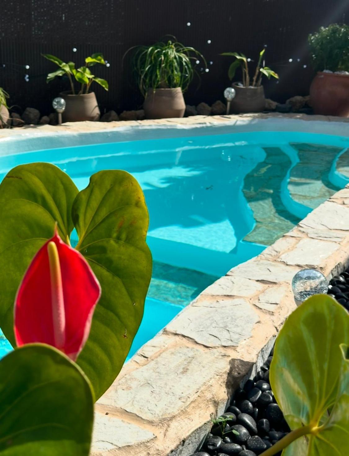 Вилла Krisant Gold Rural Luxury Privat Pool Санта-Крус-де-Тенерифе Экстерьер фото